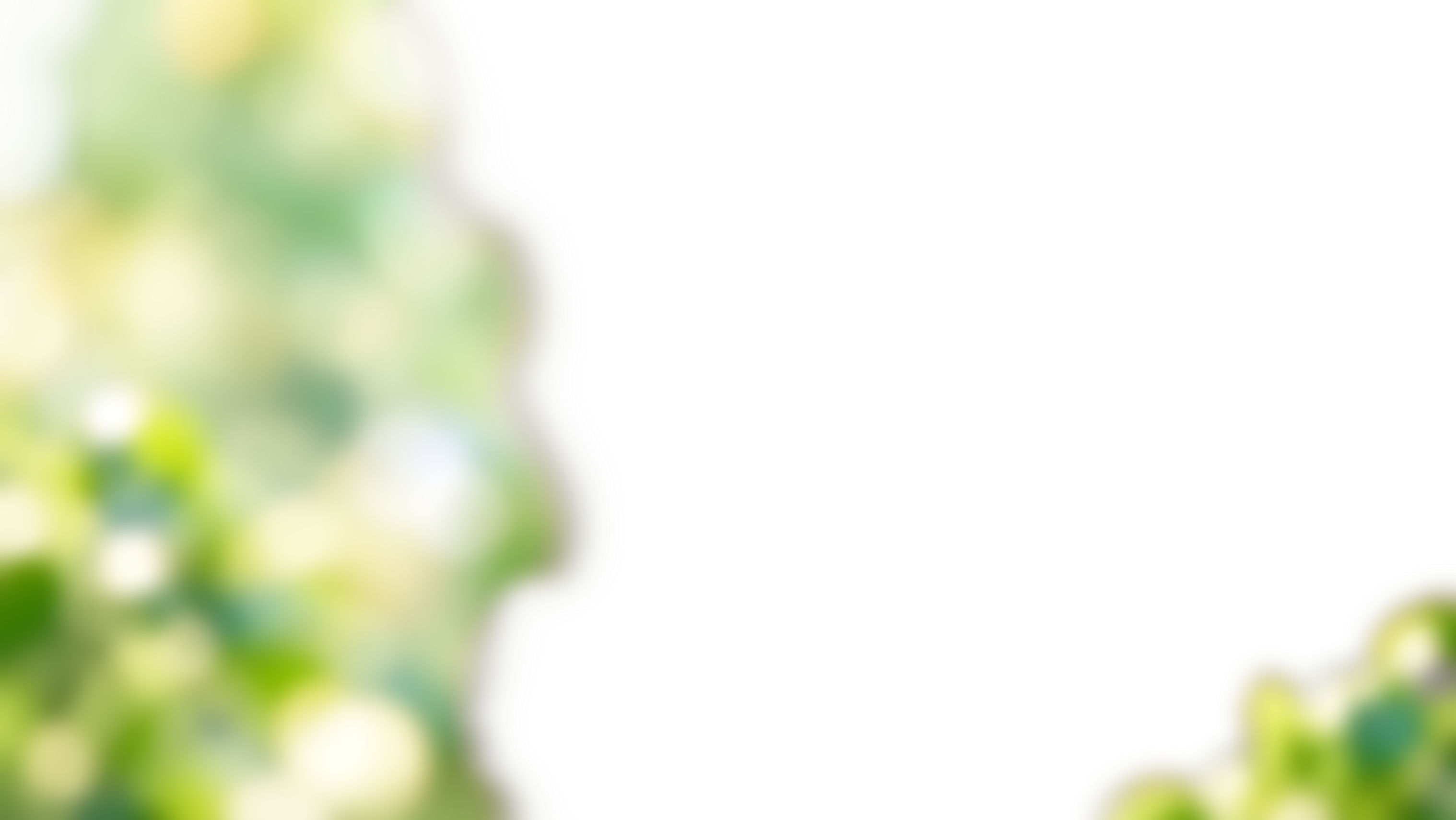 장식